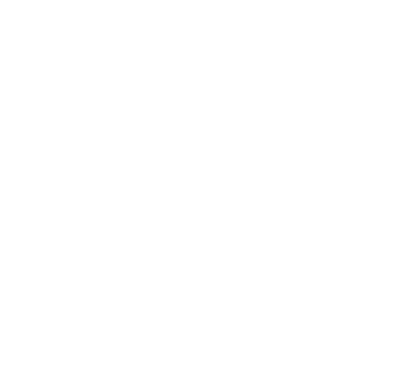 SW Logo